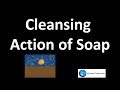Understanding the Cleansing Action of Soap