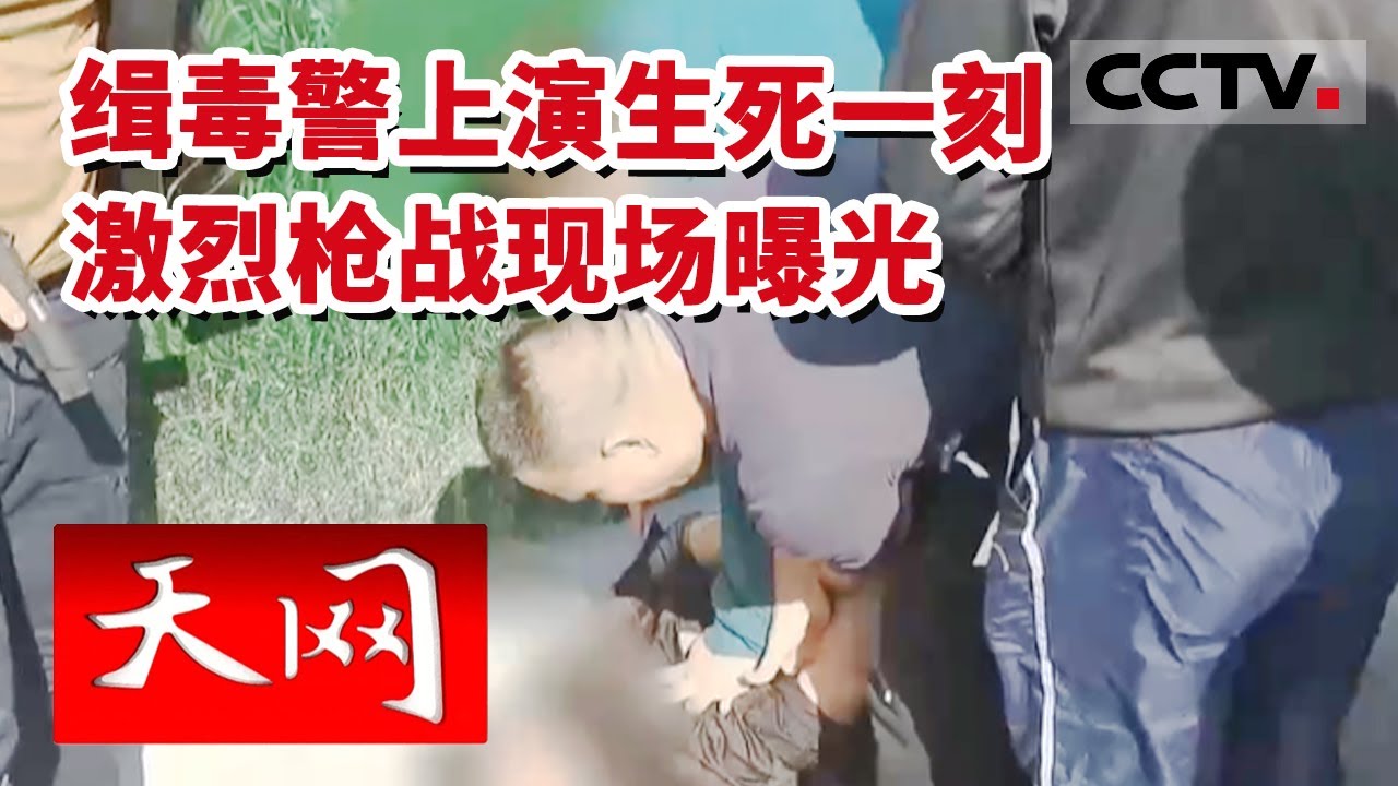 《天网》恐怖！闹市突发激烈枪战 缉毒警上演生死一刻 现场抓捕画面曝光 20230217 | CCTV社会与法
