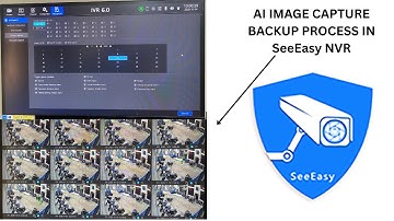 HOW TO BACKUP AI CAPTURED IMAGE IN SeeEasy  NVR