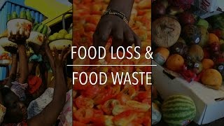 FAO Policy Series: Food Loss & Food Waste