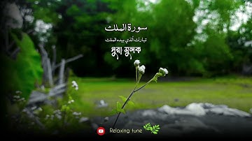 সবচেয়ে সেরা কন্ঠে সূরা মুলক | সালেহ আহমদ তাকরিম এর সুরে | Surah Al-Mulk | سورة الملك