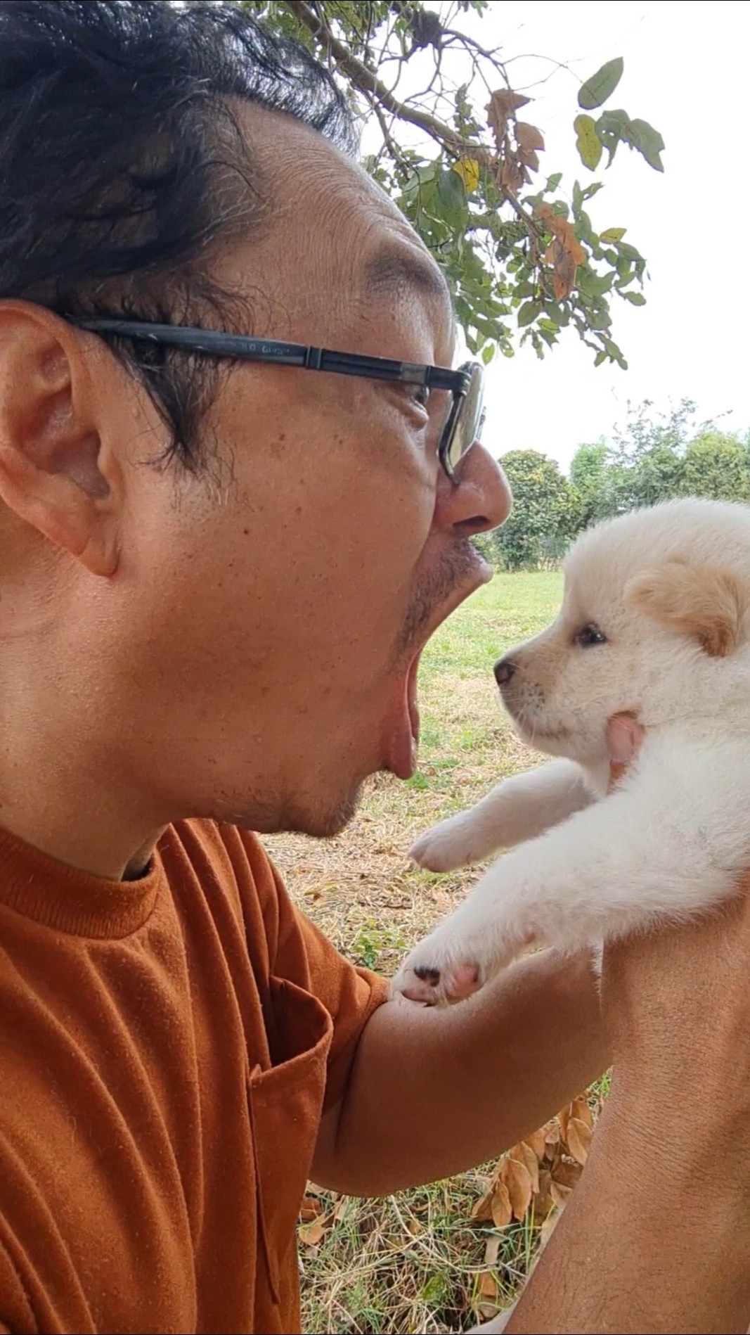 Don't bite the puppy‼️ Hurry stop him? | เจไจ๋แปน J Jai Pan #cutepuppy