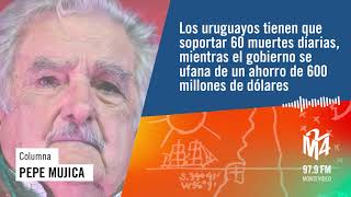 Hablando al Sur | Columna Pepe Mujica 07/06/2021 #M24