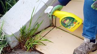The Garden Gurus - Your Garden Questions Solved #11