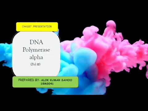 Mechanism of catalysis of DNA Polymerase alpha