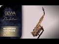 GEWA Germany Bb-Soprano Saxophone SC650 Ambition