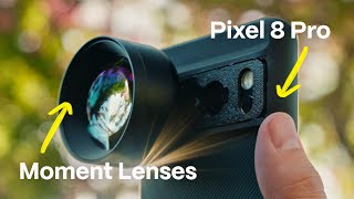 Google Pixel 8 Pro + Moment Lenses | Test & Review screenshot 3