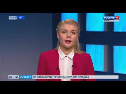 Биография дарьи швыдкой корреспондента