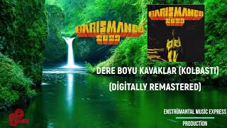 BARIŞ MANÇO DERE BOYU KAVAKLAR (DİGİTALLY REMASTERED) Resimi