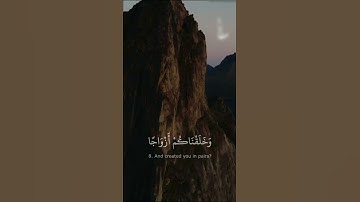 حالات واتس اب دينية🌼عم يتساءلون عن النبأ العظيم الذي هم فيه مختلفون🌼(سورة النبأ)💛