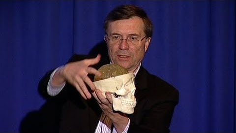 To Be Human:  What Makes The Human Brain Human with Terrence Sejnowski