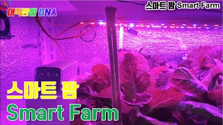 스마트팜 smart farm 도전기 1편-(집, 거실, 방에서 농사 짓기, 아두이노: 자막있음)