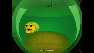 Don't pee on the floor use the comedore [EARRAPE]