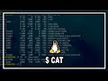 🐧 Aprende COMANDOS de GNU/Linux: CAT, HEAD y TAIL