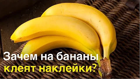 Зачем на бананы клеят наклейки? факт о бананах