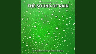 The Sound of Rain, Pt. 23