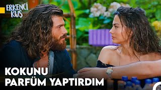 Romantiklikte Çığır Açan Bir Hareket - Erkenci Kuş