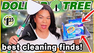 DOLLAR TREE Cleaning Products That Will SAVE YOU MONEY in 2024!
