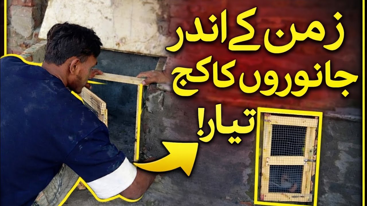 Underground Animal Cage Construction | Full Process