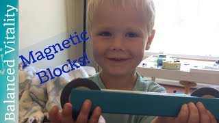 Tegu Oceans Magnetic Blocks | Timberdoodle Review