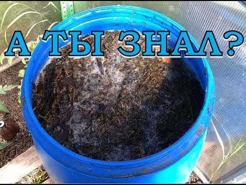 ТРАВЯНОЙ НАСТОЙ лучшее удобрение ПОШАГОВО!