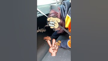 Correctly setting your rearview mirror makes driving safer!#driving #tips #howto #skills #car