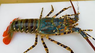The best boiled lemongrass lobster // Asian chef