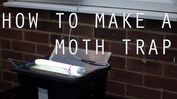 nature: tutorial on how to make a moth trap