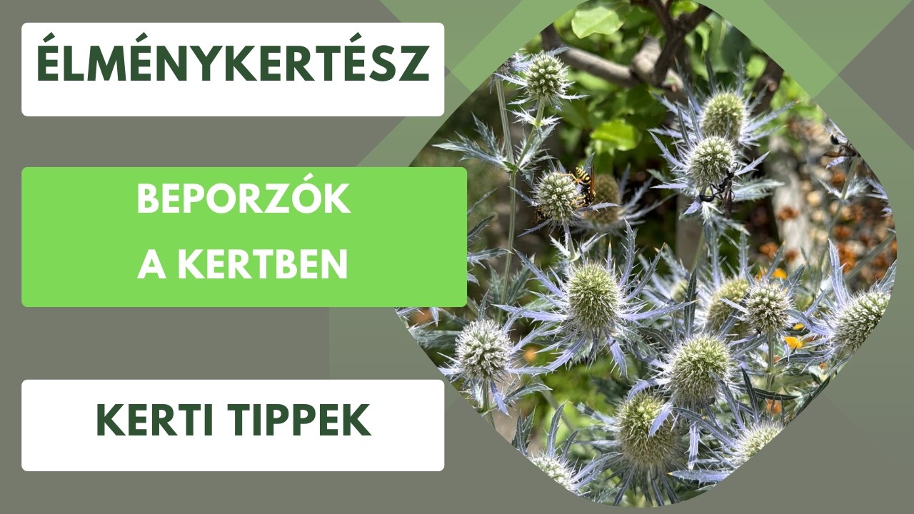 Döngicsél a kert, dolgoznak a beporzók!🐝