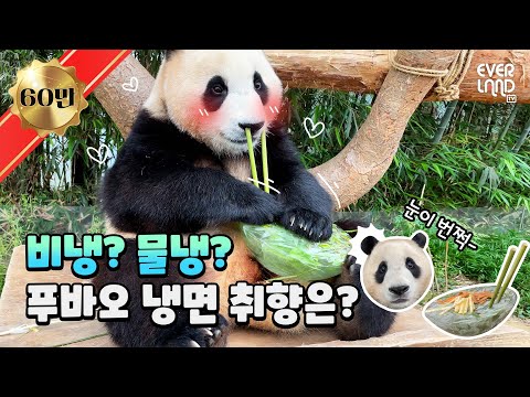 주문하신 냉면 배달왔습니다☎ | <strong>에버랜드</strong> <strong>판다월드</strong>(Panda World) #푸바오