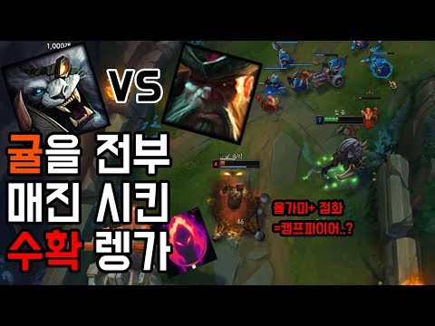 [Top Rengar] 그렇게 먹고도 아직도 귤이 남았어..?? (ps. 이블린형 미안해~~)
