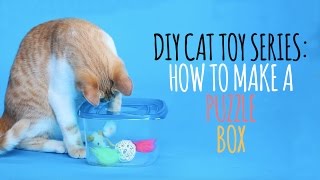 DIY Cat Toys  How to Make a Puzzle Box