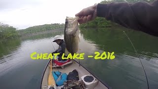 Bass Fishing At Cheat Lake!