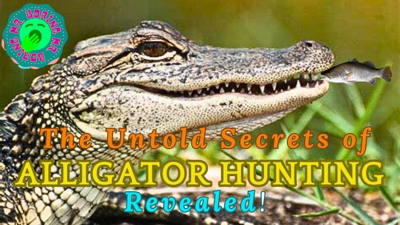 The Untold Secrets of Alligator Hunting Revealed YouTube The Untold Secrets of Alligator Hunting Revealed YouTube