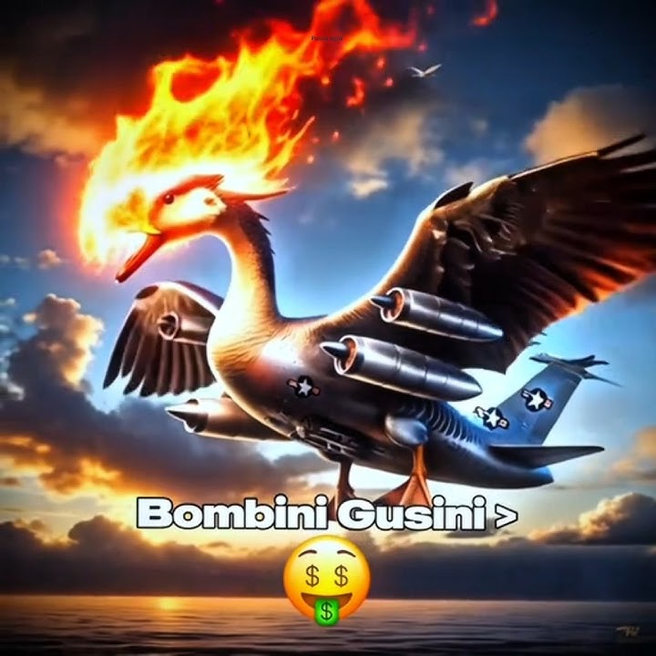 Bombini Gusini #gusini #animals #meme #edit #foryou #viralvideo #fyp #shorts