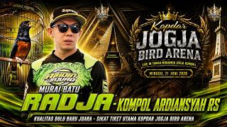 MURAI BATU RADJA, KUALITAS DULU BARU JUARA, SIKAT TIKET UTAMA KOPDAR JOGJA BIRD ARENA