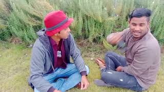 ভইরল ভডও ব ময বতগ