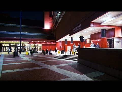 Rebels in the Archives Instructional Video
