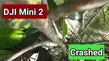 Dji Mini 2 Crashed | Stucked on tree | Live footage Video | 4K