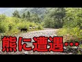 【超危険⁉︎】熊に遭遇⁉︎絶対に知っとくべき基本の対処方法‼︎
