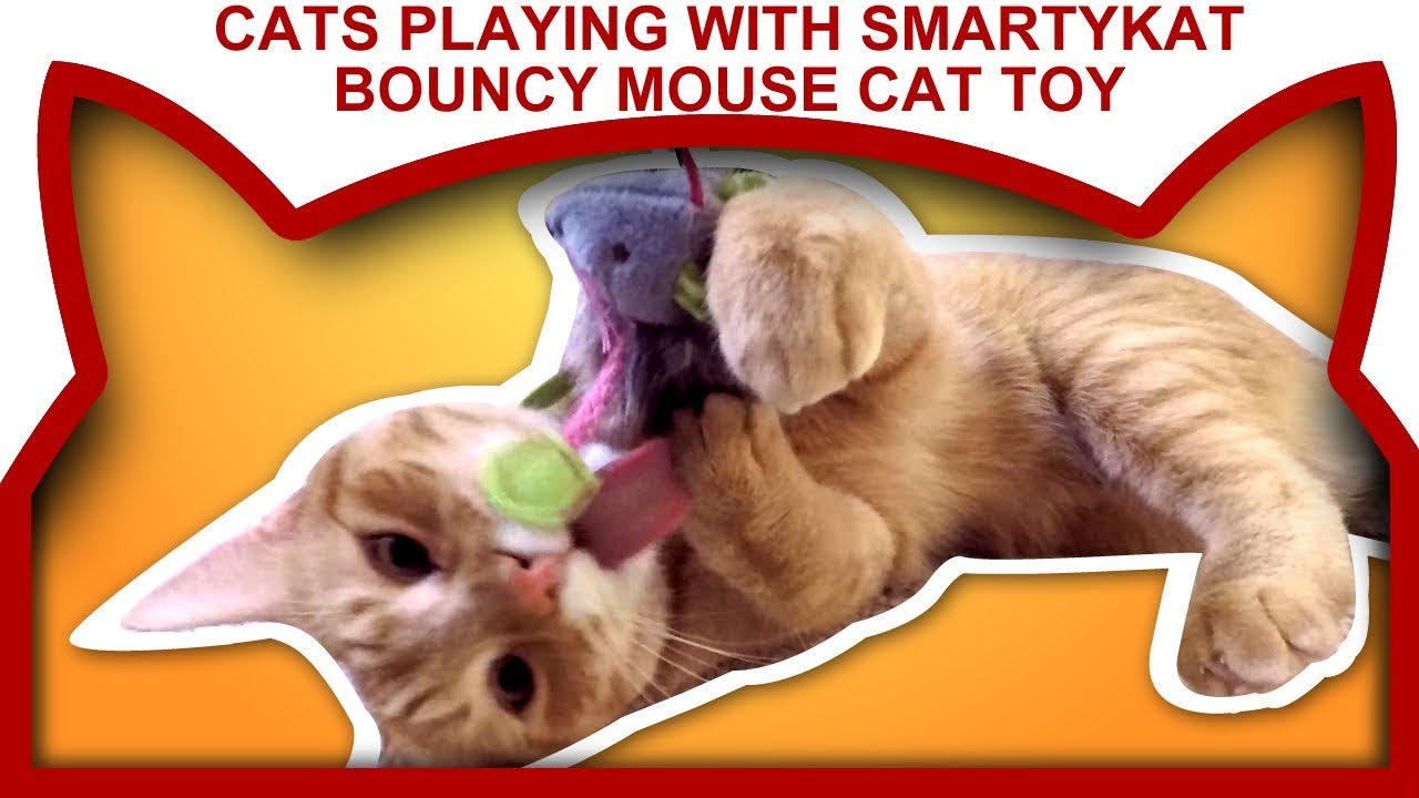 smartykat bouncy mouse