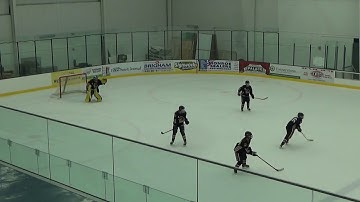 Bisons vs CP Dynamo @ states Mar 11 period 2