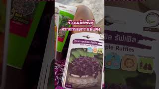 เมล็ดพันธุ์ดอกไม้ซองละ 35 บาท ของเค้าขึ้นดีแน่นอน #Agaagro #บ้านสวนของมินตรา #เมล็ดดอกไม้ เมล็ดพันธุ์ดอกไม้ซองละ 35 บาท ของเค้าขึ้นดีแน่นอน #Agaagro #บ้านสวนของมินตรา #เมล็ดดอกไม้