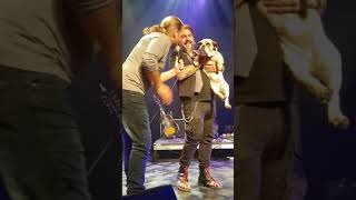 Derniere Chance La Chicane Live 2018 Tu M'manque