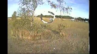 Sdc Rd8 Fastest Heat