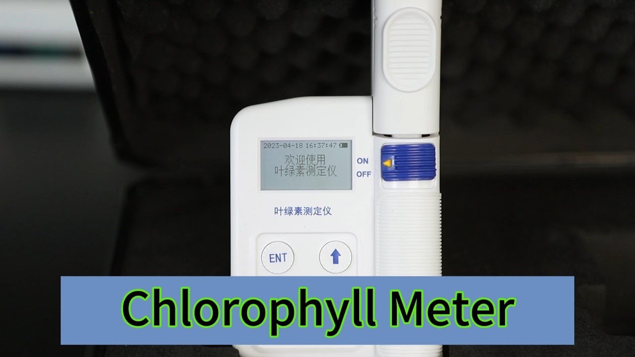 Chlorophyll Content Detector - YouTube