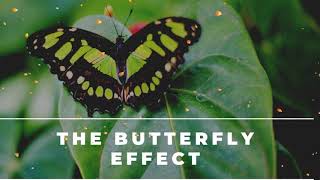 A THE BUTTERFLY EFFECT ⁂ Elevate your Vibration ⁂ Positive Aura Cleanse ⁂ 432Hz Music