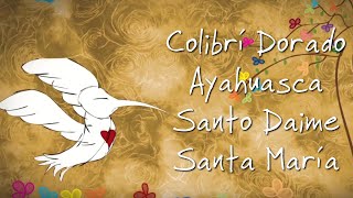 Miniatura del video "Colibrí Dorado | Santo Daime Santa María | Ayahuasca | Sacred Medicine Song - Manu & Marianne"