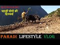 Village life of Uttarakhand || पहाड़ी किसान || pahadi lifestyle vlog || by Cool pahadi