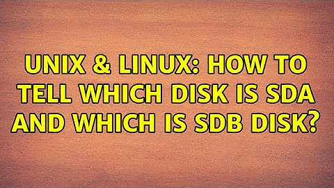 Unix & Linux: How to tell which disk is sda and which is sdb disk?